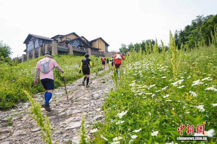 安全登录保障：您的账户安全无忧 - mk体育
